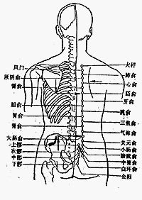 氣海關元位置|醫砭 » 經穴庫 » 氣海